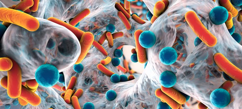 Çağın korkusu Antibiyotik direnci hakkında her şey