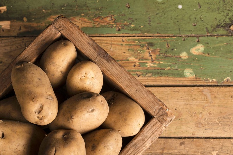 gdo faydali mi zararli mi