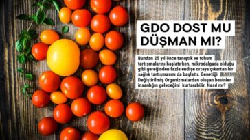 gdo faydali mi zararli mi