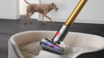 Dyson Anti-tangle: Özellikleri, fiyatı ve çıkış tarihi