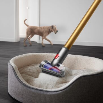 Dyson Anti-tangle: Özellikleri, fiyatı ve çıkış tarihi