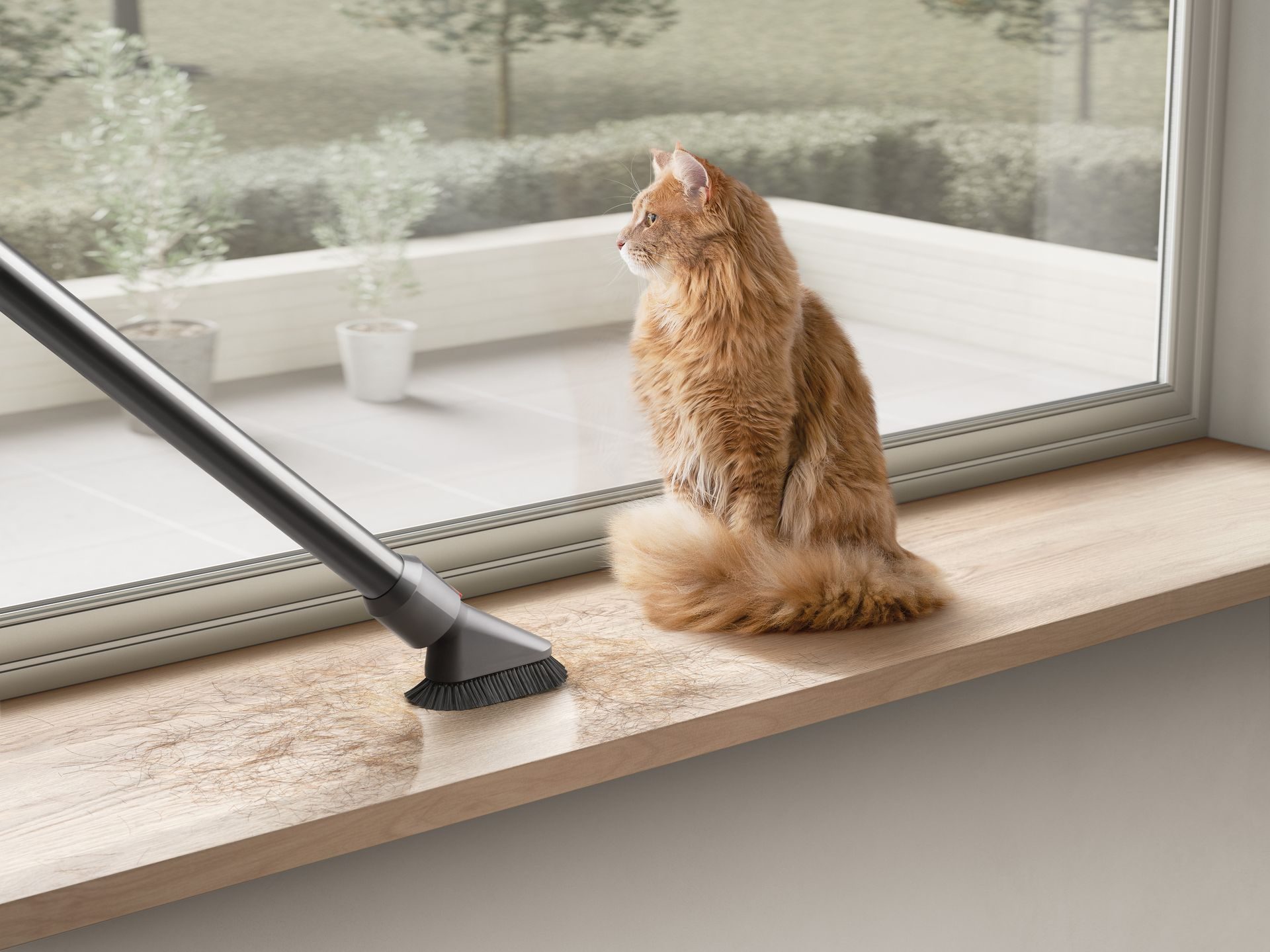 Dyson Anti-tangle: Özellikleri, fiyatı ve çıkış tarihi