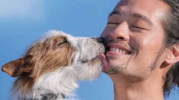 Galaxy SmartTag: Özellikleri, fiyatı ve çıkış tarihi