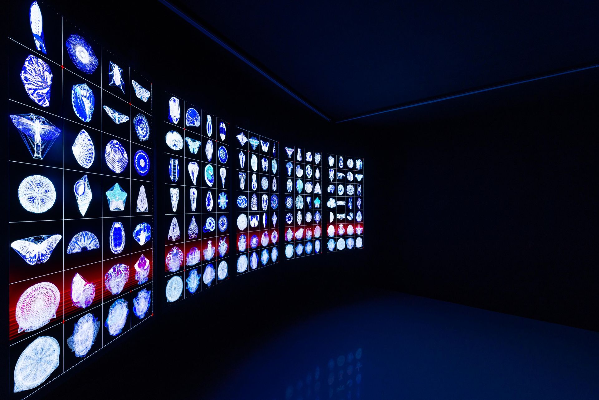 "arura" sergisi nedir, ne zaman?