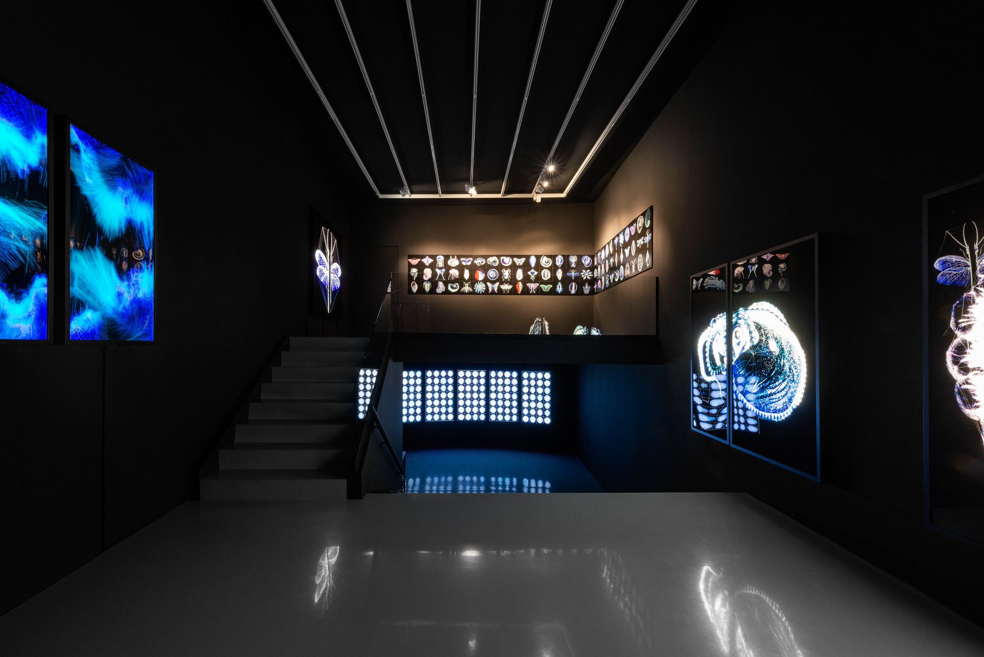 "arura" sergisi nedir, ne zaman?